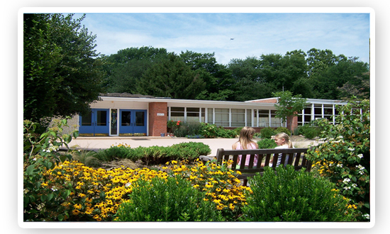 華盛頓華德福學校  Washington Waldorf School