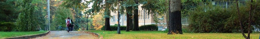 Trinity School at Greenlawn 三一學(xué)院