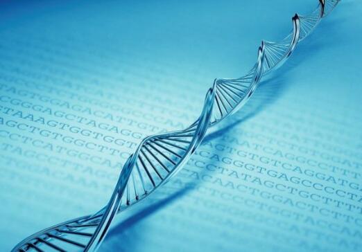 自然科學生物、生命科學