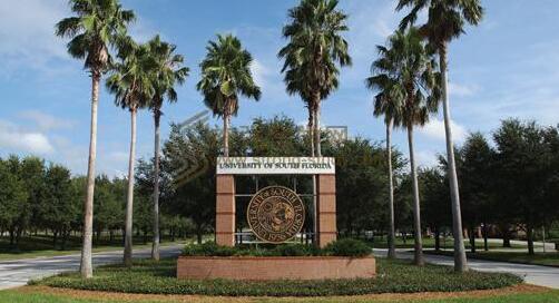 University of south Florida南佛羅里達大學怎么樣